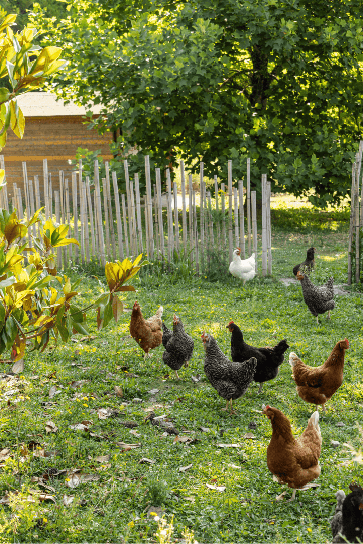 B SIGNATURE Hotels & Resorts