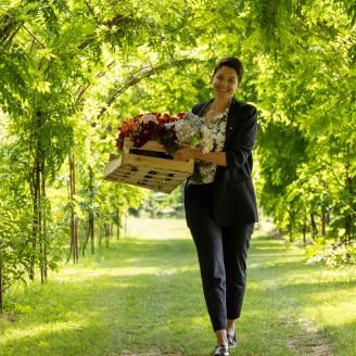 B SIGNATURE Hotels & Resorts