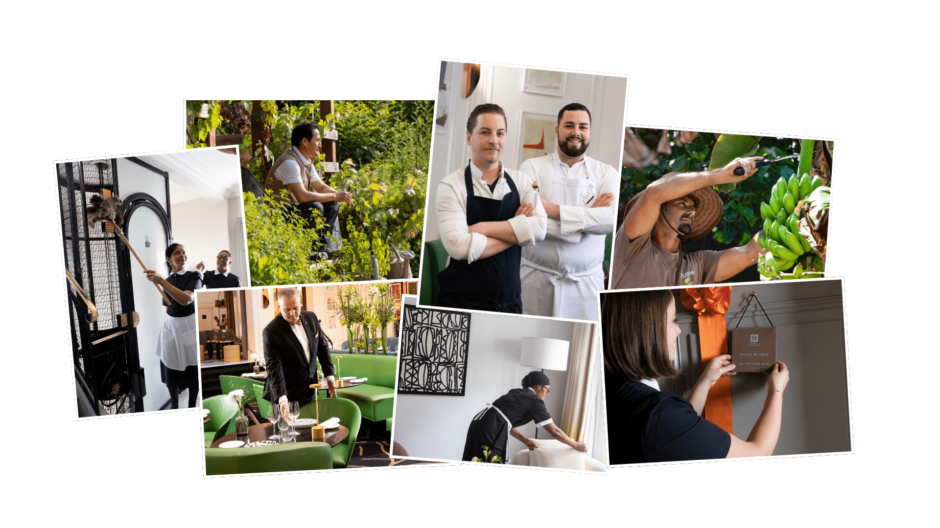 B SIGNATURE Hotels & Resorts