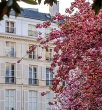 B SIGNATURE Hotels & Resorts